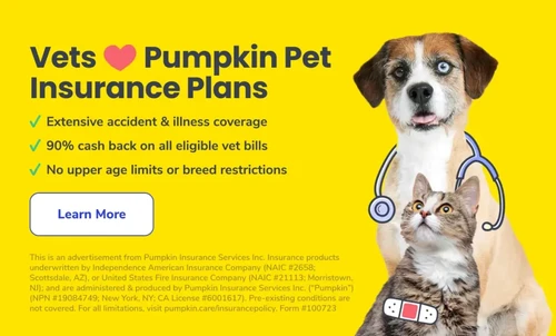 Dog at veterinary clinic in Louisiana